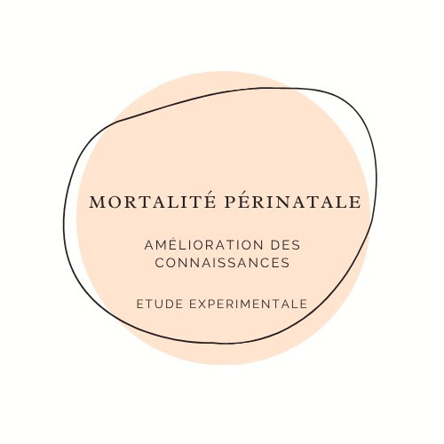 Améliorer les connaissances sur la mortalité périnatale en vue de la réduire